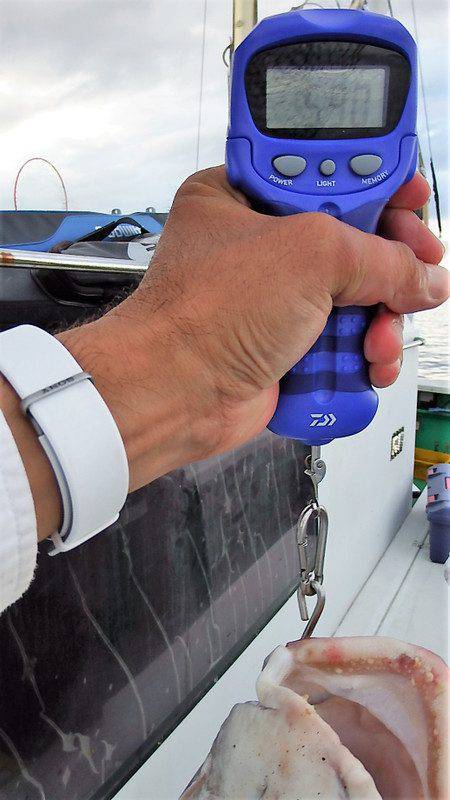 第三むつりょう丸 釣果