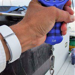 第三むつりょう丸 釣果