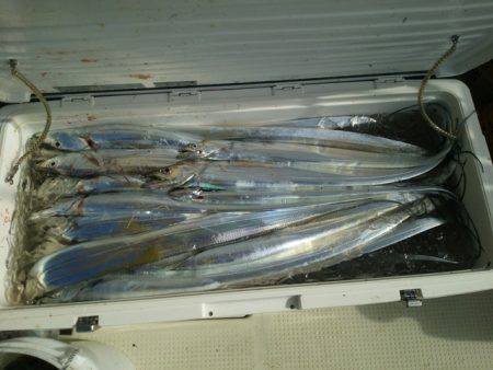 遊漁船　ニライカナイ 釣果