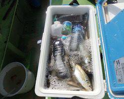 久里浜黒川本家 釣果