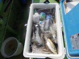 久里浜黒川本家 釣果