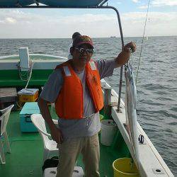 恵比寿丸（兵庫） 釣果