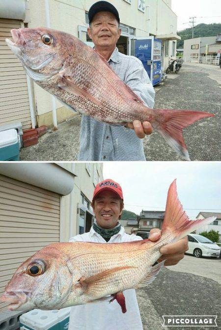 桑田観光 釣果