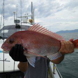 遊漁船　ニライカナイ 釣果