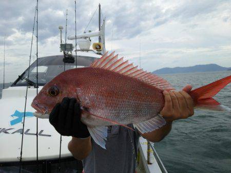 遊漁船　ニライカナイ 釣果