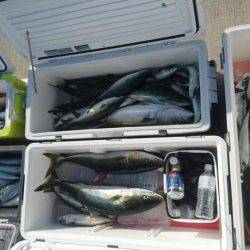 気仙沼　つり丸 釣果