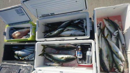 気仙沼　つり丸 釣果