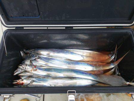 遊漁船 ニライカナイ 釣果