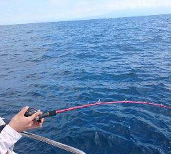 IDATEN(イダテン) 釣果