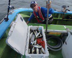 久里浜黒川本家 釣果