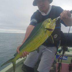 気仙沼　つり丸 釣果