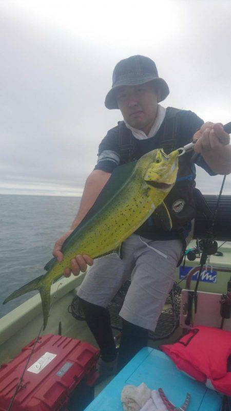 気仙沼　つり丸 釣果