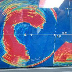 スカイマリン 釣果