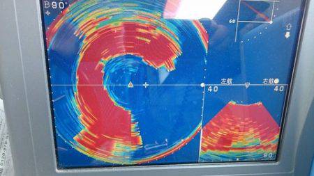 スカイマリン 釣果