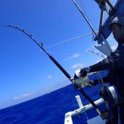 沖縄の釣船クレーンズ・鶴丸 釣果