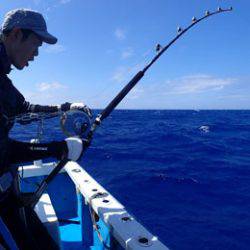 沖縄の釣船クレーンズ・鶴丸 釣果