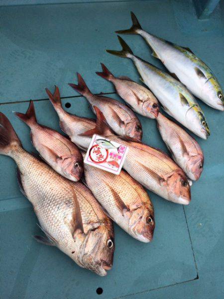 さとみ丸 釣果