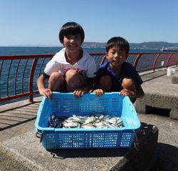 神戸市立平磯海づり公園　アジ105匹