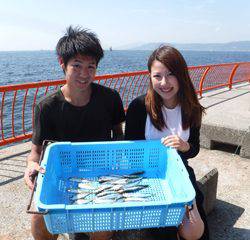 神戸市立平磯海づり公園　サビキでイワシ、アジ