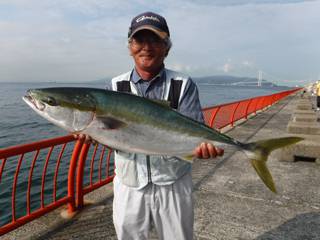 神戸市立平磯海づり公園　ブリ 	88㎝