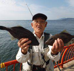 神戸市立平磯海づり公園