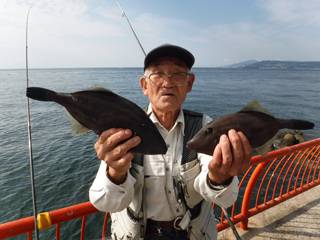 神戸市立平磯海づり公園
