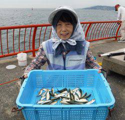 神戸市立平磯海づり公園