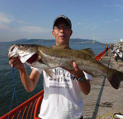 神戸市立平磯海づり公園