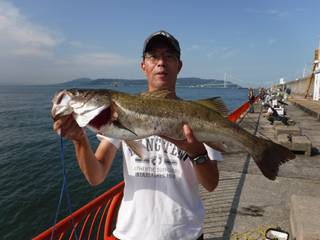 神戸市立平磯海づり公園