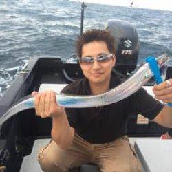 シーマジカル 釣果