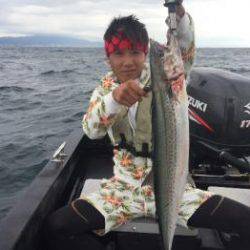 シーマジカル 釣果