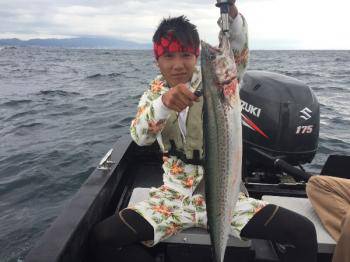 シーマジカル 釣果