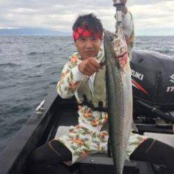 シーマジカル 釣果