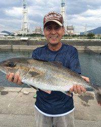 和歌山マリーナシティ釣り堀 釣果