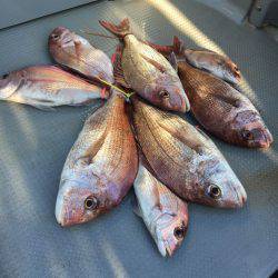 さんさん丸 釣果