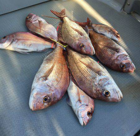 さんさん丸 釣果