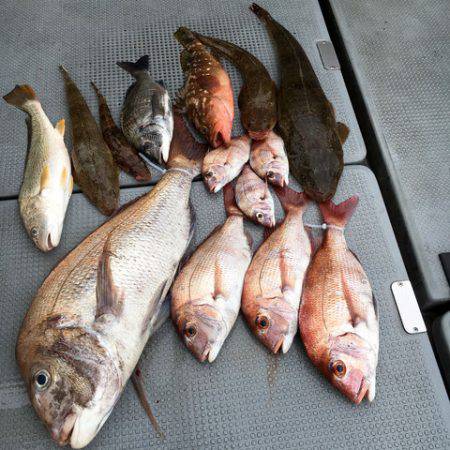 さんさん丸 釣果