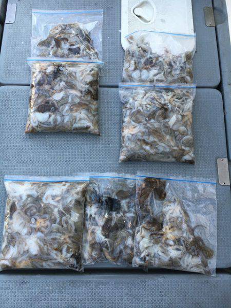 さんさん丸 釣果