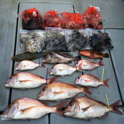 さんさん丸 釣果