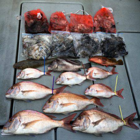 さんさん丸 釣果