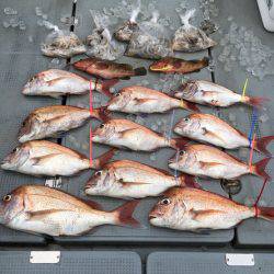 さんさん丸 釣果