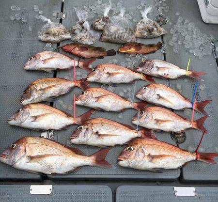さんさん丸 釣果