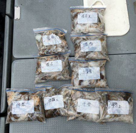 さんさん丸 釣果