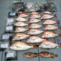 さんさん丸 釣果