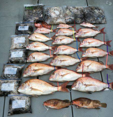 さんさん丸 釣果