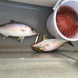 Blue.win 海人丸 釣果