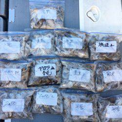 さんさん丸 釣果