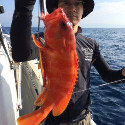 Blue.win 海人丸 釣果