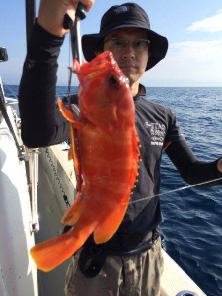 Blue.win 海人丸 釣果