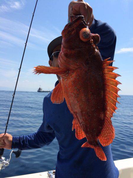 Blue.win 海人丸 釣果